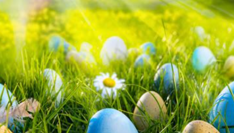 EERSTE PAASDAG NEUT’N SCHAIT’N ONDER TOEZIEND OOG VAN DE PAASHAAS EN NATUURLIJK VAN ALLES MET EIEREN