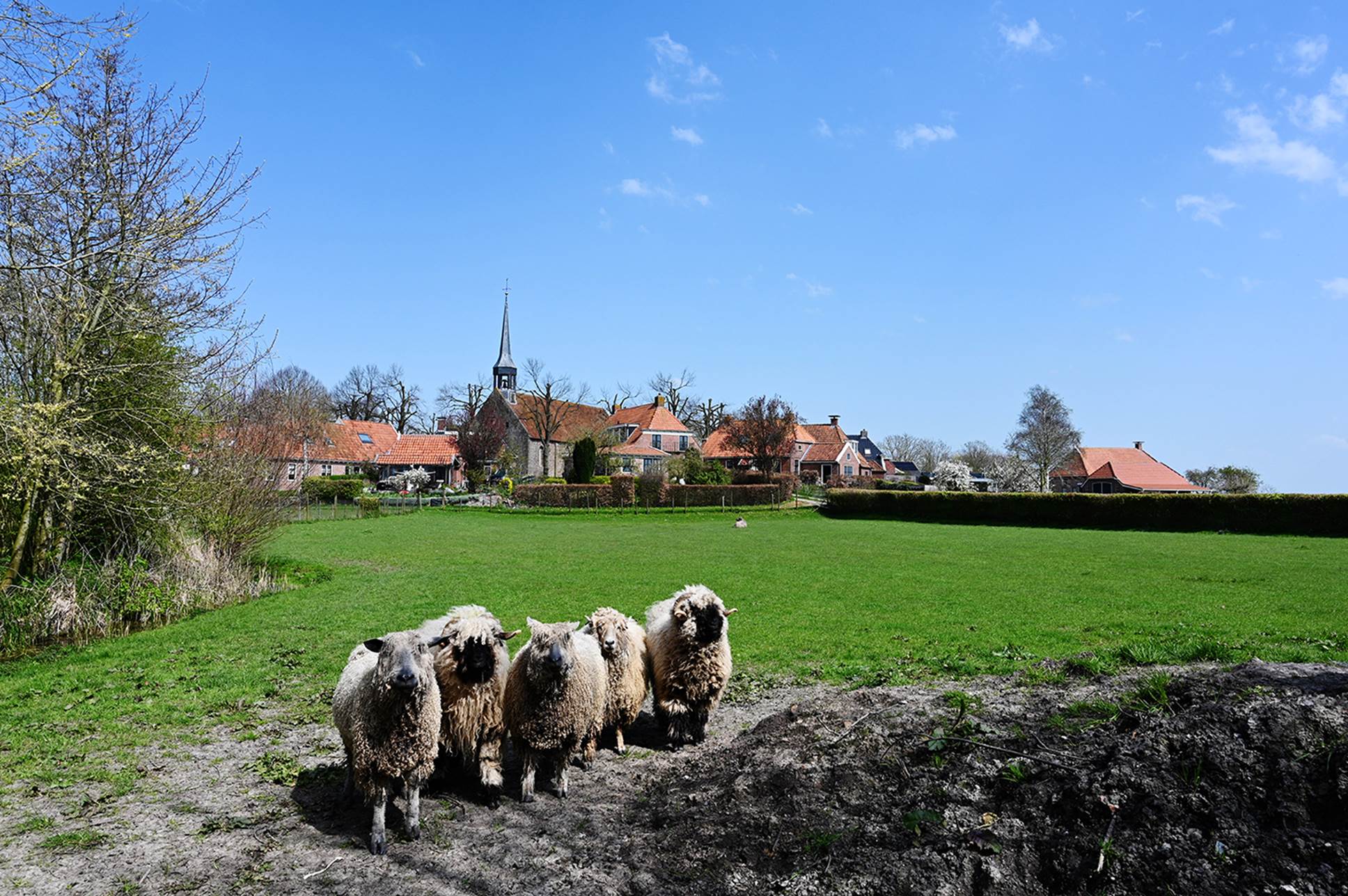Dorpentocht Middag-Humsterland